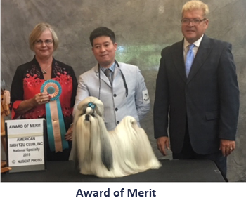 award of merit 3