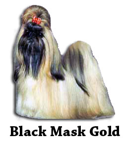 Black Mask Gold