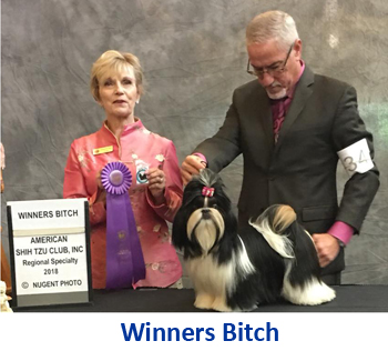 winners bitch